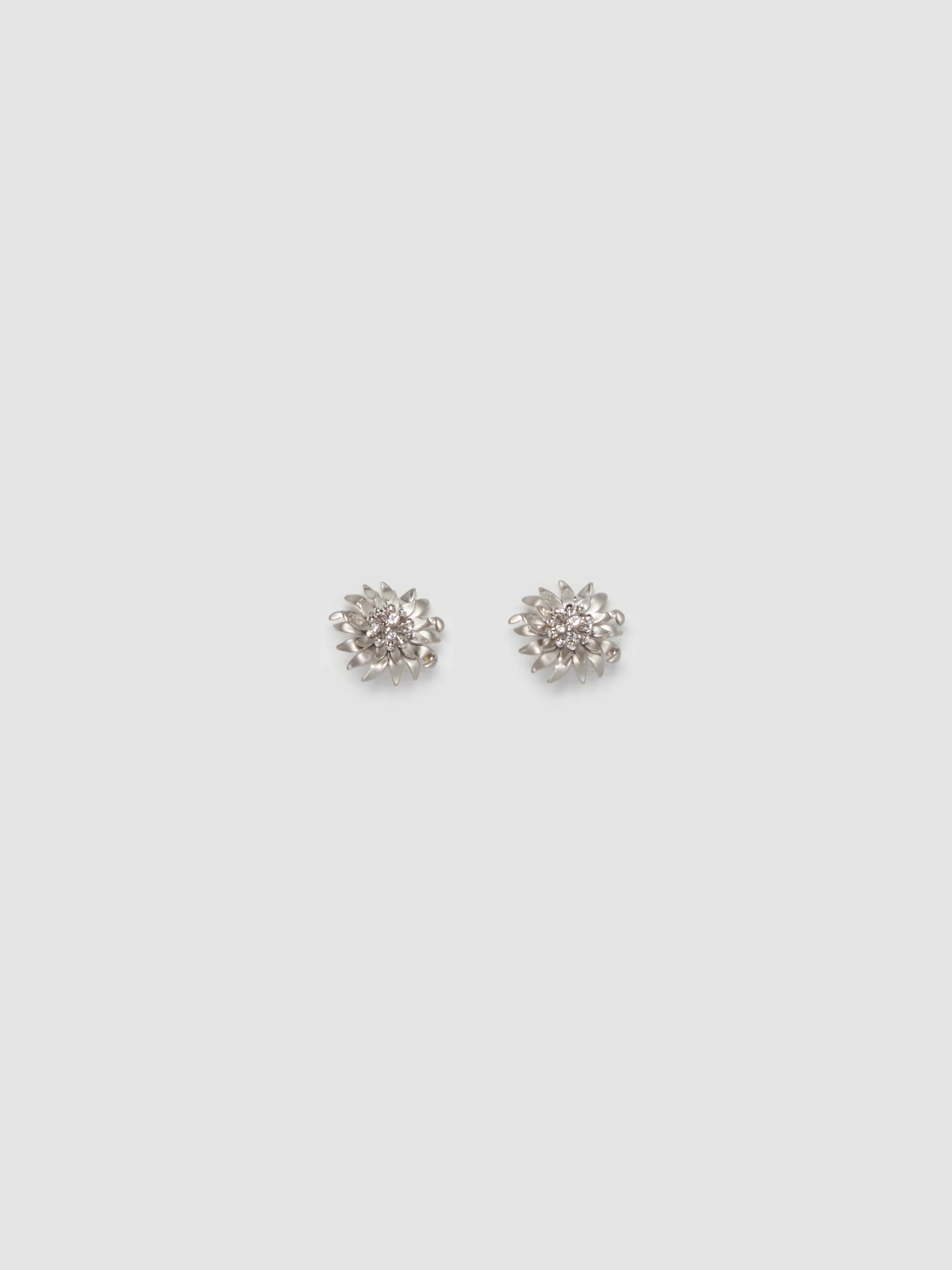 Metal Earrings with Crystals in Steel