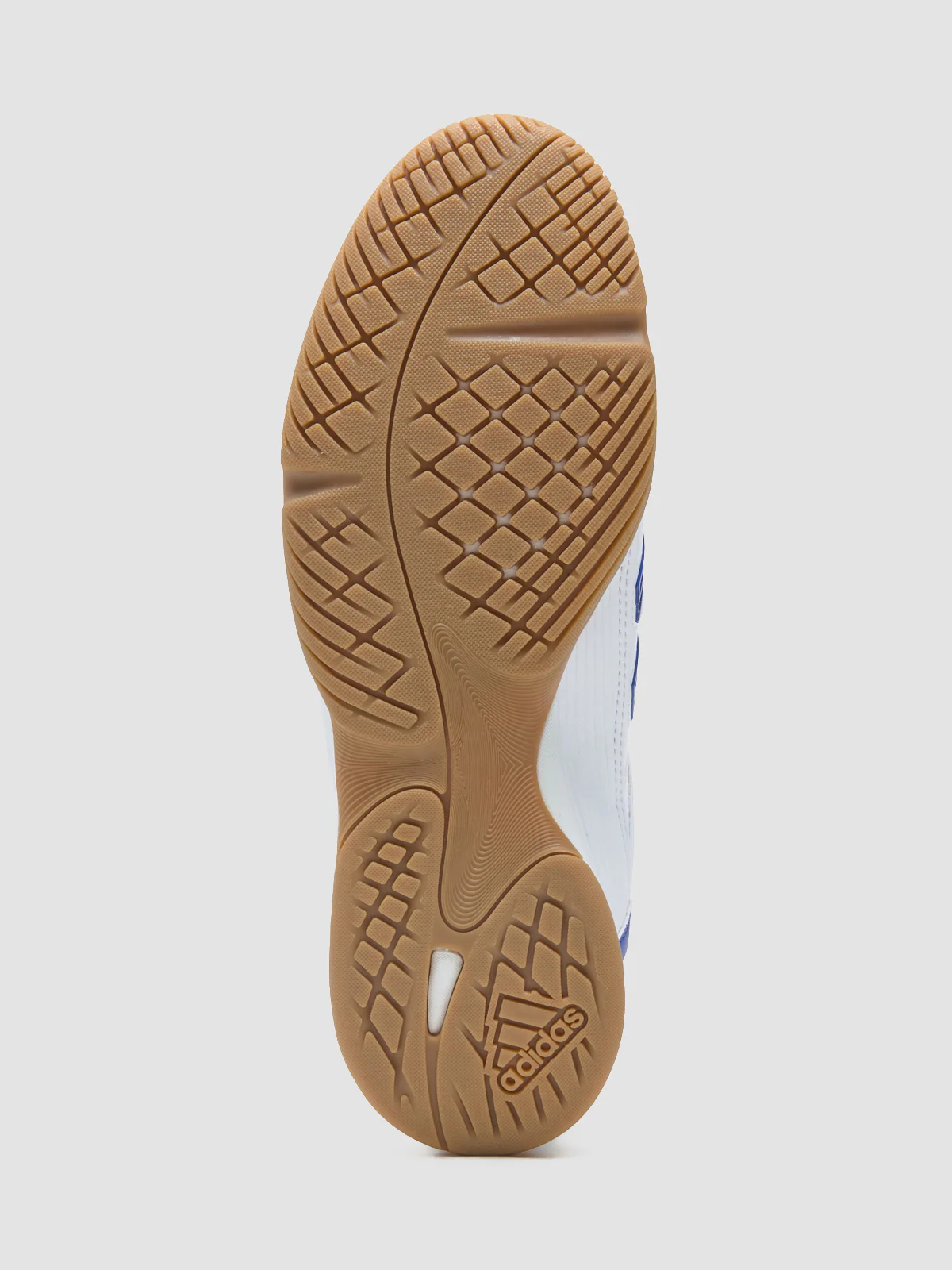 Predator Sala Sneaker in Cloud White & Royal Blue - Image 5
